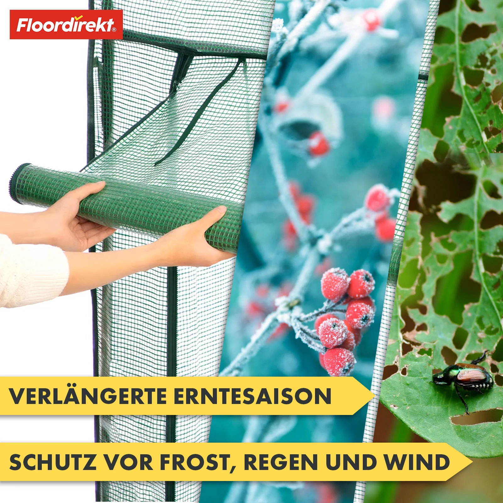 Vorschaubild 13