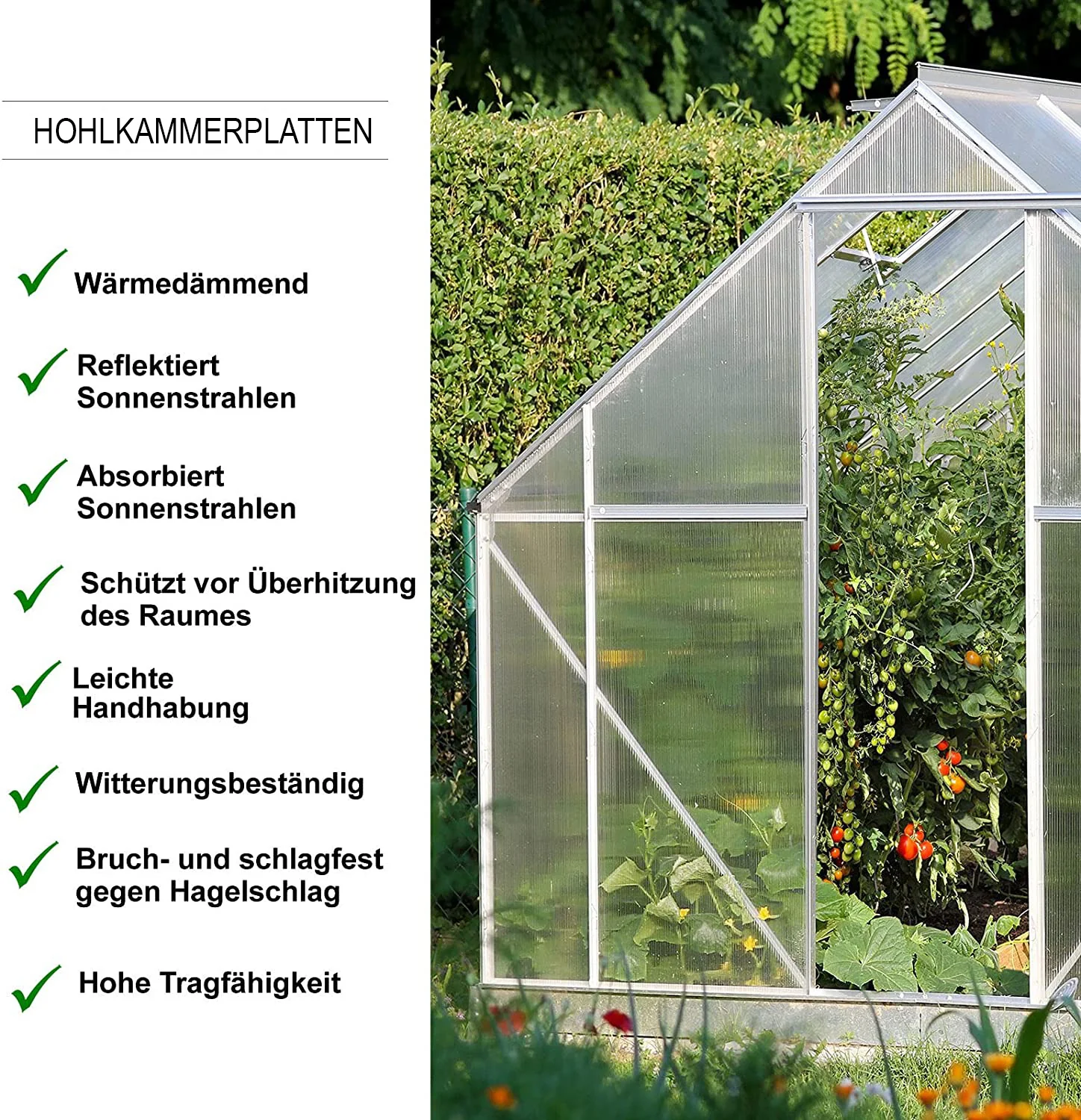 Vorschaubild 11