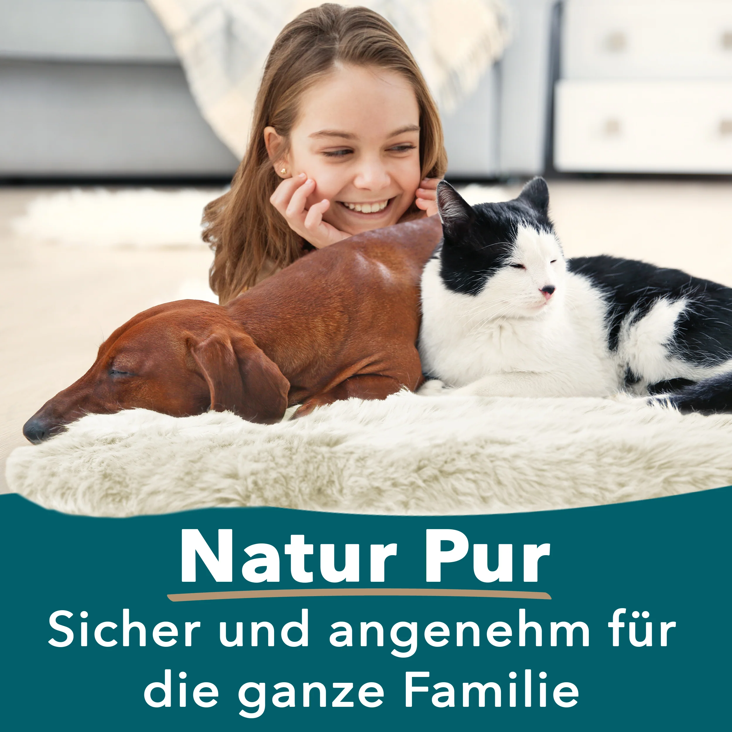 Vorschaubild 33