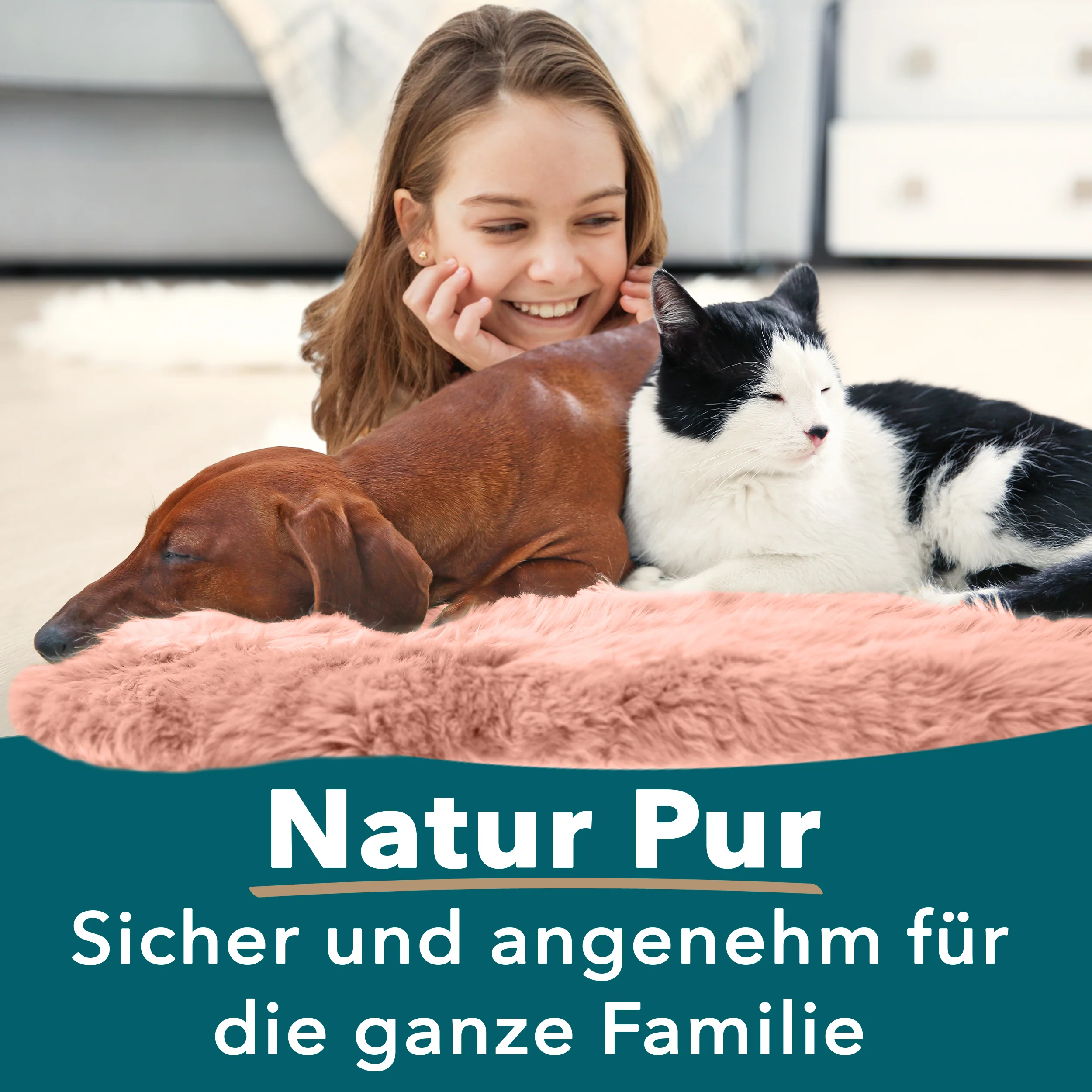 Vorschaubild 45