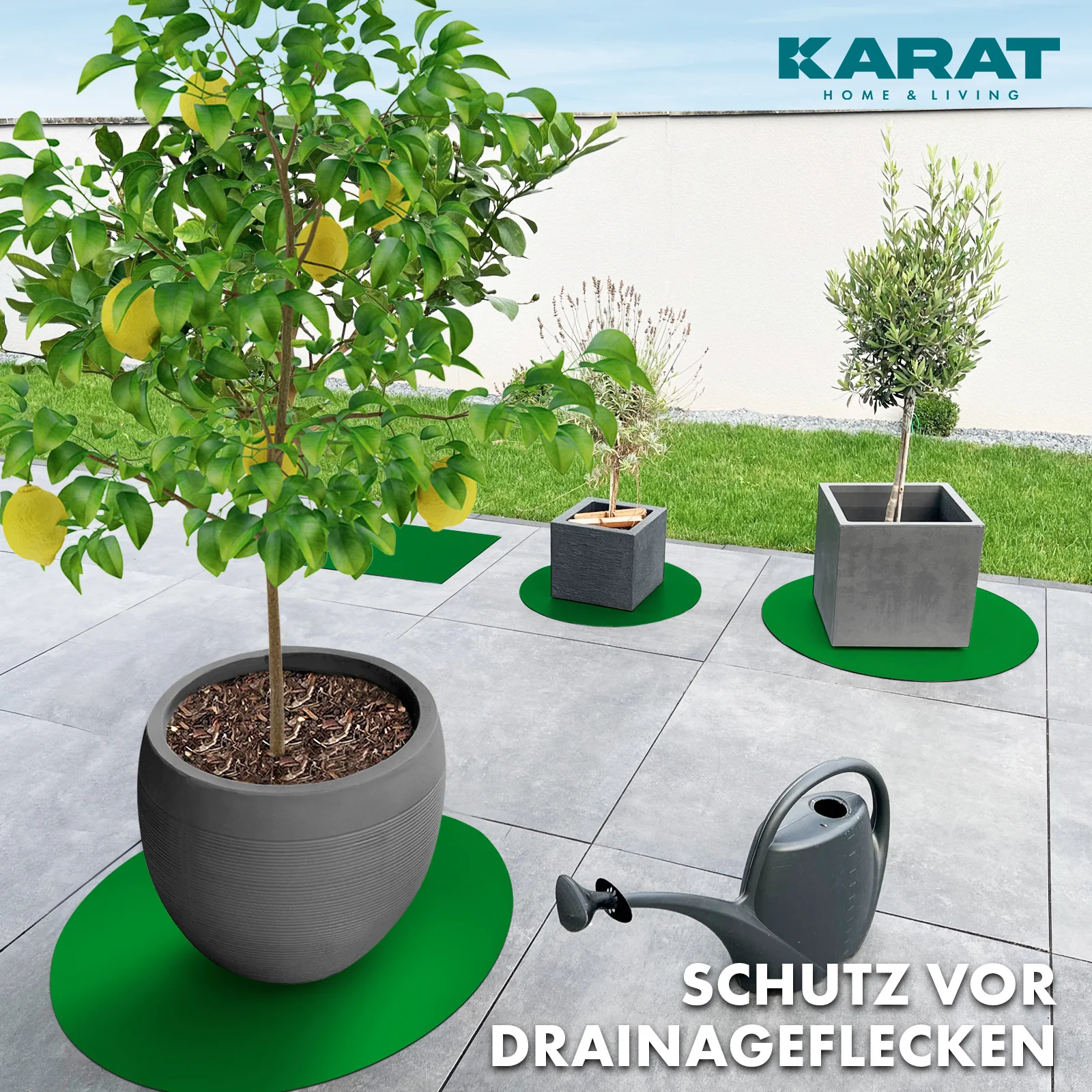 Vorschaubild 25